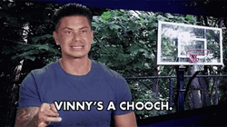DJ Pauly D Vinny Guadagnino Is A Chooch GIF