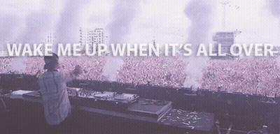 DJ Playing Music In Front Of Crowd Saying Wake Me Up When It's All Over GIF