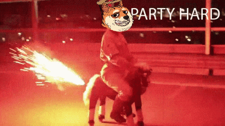 Djtigerpaws Dj Tiger Paws GIF
