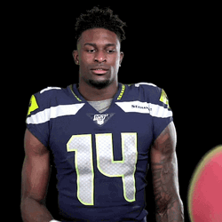 DK Metcalf Catches Football  GIF