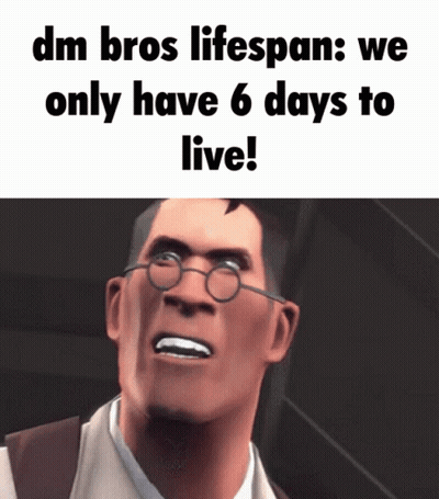 DM Bros Lifespan We Only Have 6 Days GIF