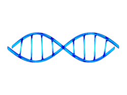 DNA Blue Spiral Strand  GIF