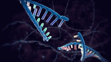 DNA Change Genetic Engineering GIF