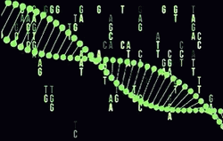 DNA Code Genetic Sequence Matrix GIF
