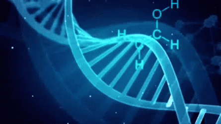 DNA Double Helix Molecules GIF