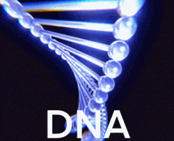 Dna GIF