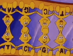 DNA Once Upon A Time Life 1987 Animation GIF