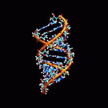 DNA Spiral Strand Spinning Molecules GIF