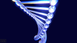 DNA Strand Genetics Loop GIF