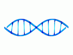 DNA Strand Matthew Butler Animation GIF