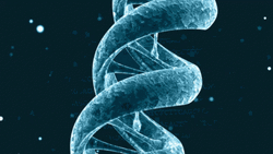 DNA Up Close Animation Loop GIF