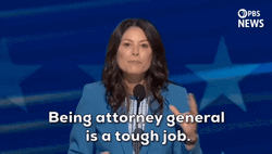 Dnc Dana Nessel Being Attorney GIF