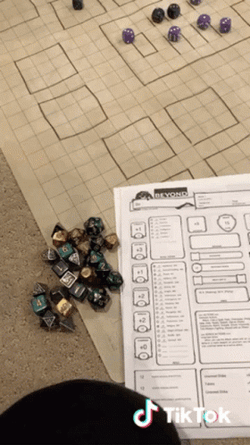 DND Playing With Cat As DM GIF