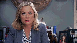 Do Not Google Amy Poehler GIF