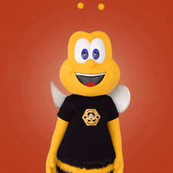 Do Not Know The Bees GIF