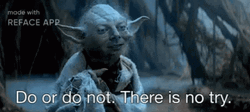 Do Or Do Not There Is No Try Yoda Meme GIF