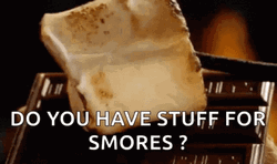Do You Have Stuff For Smores GIF