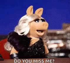 Do You Miss Me Miss Piggy GIF