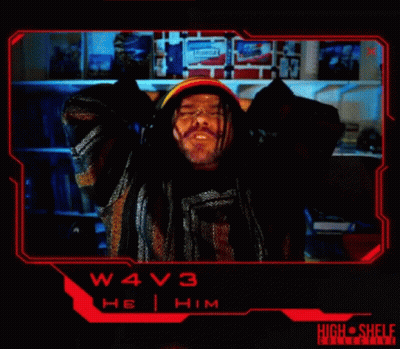 Do You Think We 'Ll Get Paid For This W4v3 GIF