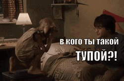 Dobby And Harry Potter Talking GIF