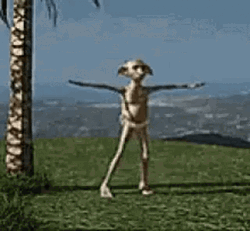 Dobby Is Free And Dancing GIF