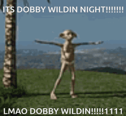 Dobby Is Free And Wilding Tonight GIF