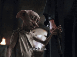 Dobby Is Free At Last GIF