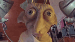 Dobby Is Free From Flying GIF