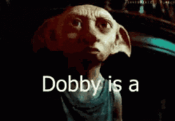 Dobby Is Free From Girls GIF