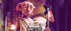 Dobby Is Free On Wednesday GIF