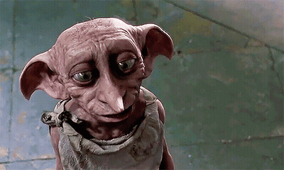 Dobby Looking At Camera GIF