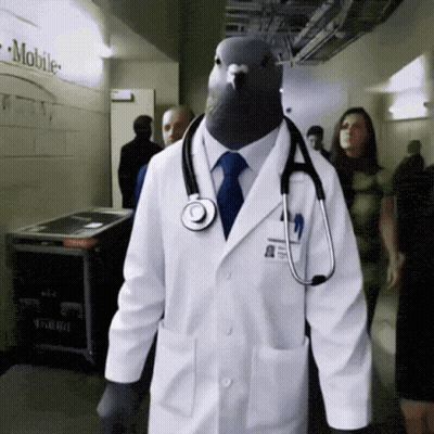 Doctor With Pigeon Head And Stethoscope GIF