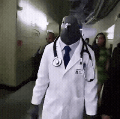 Doctor With Pigeon Head And Stethoscope GIF