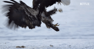 Doctor With Stethoscope Says Just Let This Go GIF
