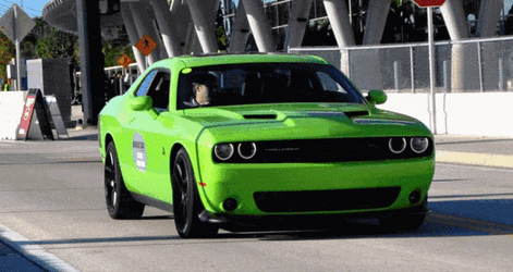 Dodge Challenger Dodge GIF