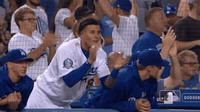 Dodgers Player High Fiving Fan GIF