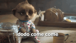 Dodo Come Come GIF