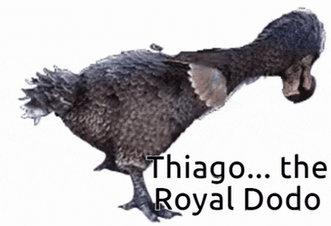 Dodo Thiago GIF