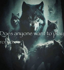 Does Anyone Want To Play Roblox Wolfs Meme GIF