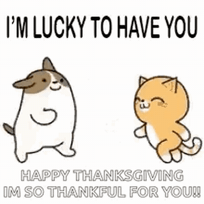 Dog And Cat Dancing GIF