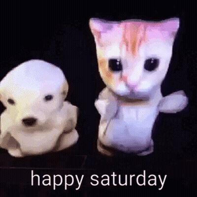Dog And Cat Dancing Happy Saturday GIF