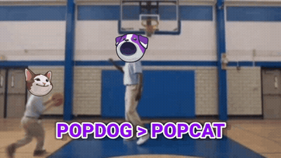 Dog and Cat on Basketball Court Saying Popdog > Popcat