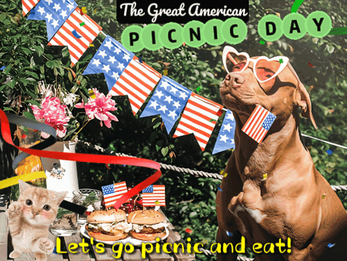Dog And Cat Picnic Eat GIF
