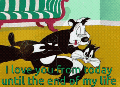Dog And Cat Saying I Love You From Today Until The End Of My Life GIF