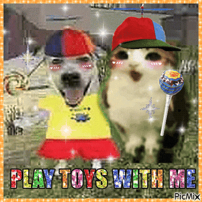 Dog And Cat Saying Play Toys With Me GIF