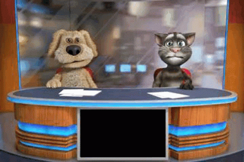 Dog And Cat Sitting At News Desk GIF