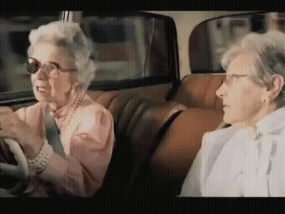 Dog And Cat Sitting In Car Be Safe Driving Here GIF