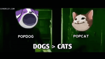 Dog and Cat With Mouths Wide Open
