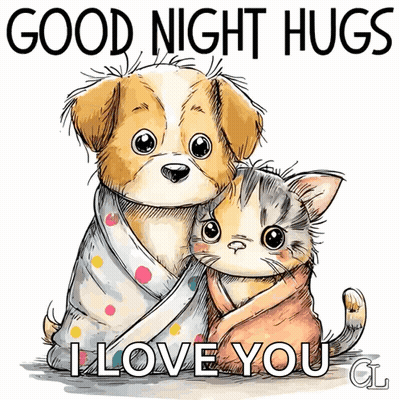 Dog And Cat Wrapped In Blanket Good Night Hugs I Love You GIF
