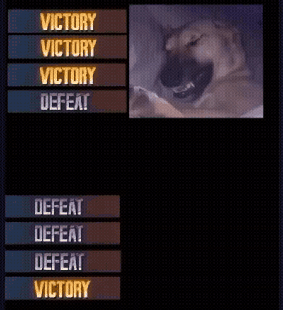 Dog And Man In Bed Victory And Defeat GIF